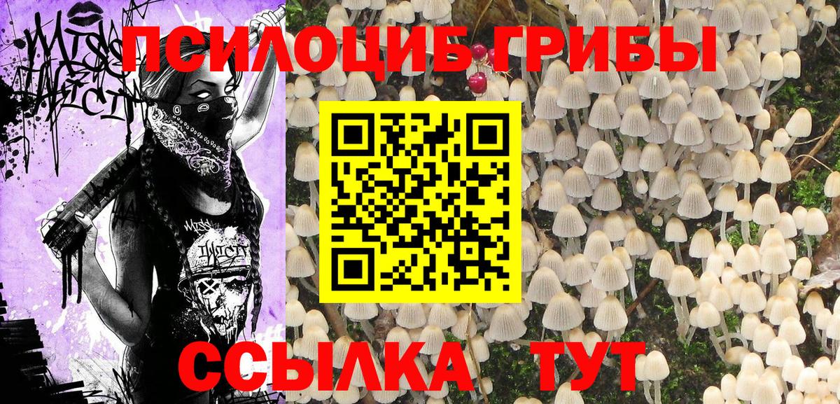 Псилоцибиновые грибы Psilocybine cubensis  Вход с VPN  Волоколамск  как найти закладки  Галлюциногенные грибы MAGIC MUSHROOMS 