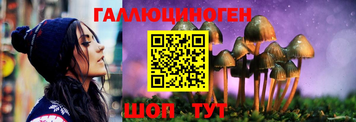 Псилоцибиновые грибы MAGIC MUSHROOMS Волоколамск