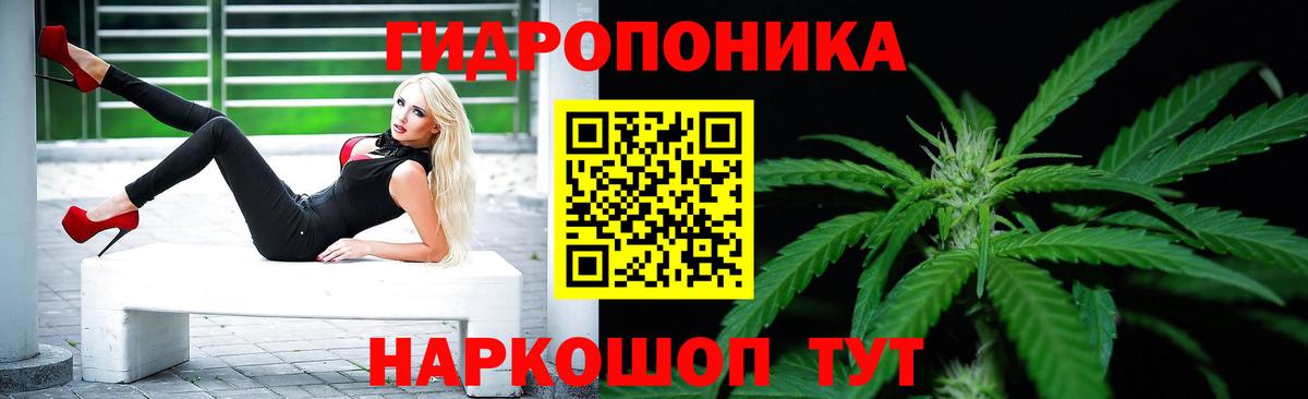 Шишки марихуана индика  Каннабис MAZAR  Вход с VPN  Волоколамск  Канабис Amnesia 